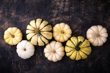 Farklı dekoratif balkabaklarıyla sonbahar sonbahar arkaplanı