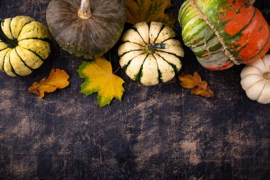 Farklı dekoratif balkabaklarıyla sonbahar sonbahar arkaplanı