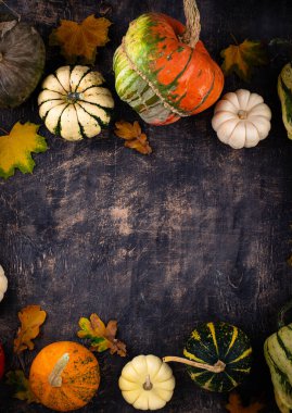 Farklı dekoratif balkabaklarıyla sonbahar sonbahar arkaplanı