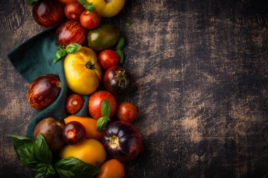 Taze domateslerin değişik çeşitleri ve renkleri.