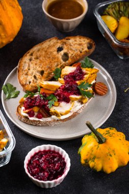 Hindili ve kızılcık soslu Şükran Günü sandviçi.