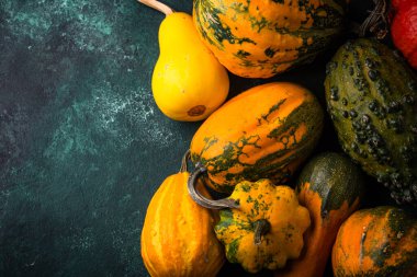 Yeşil zemin üzerinde çeşitli dekoratif balkabağı seti