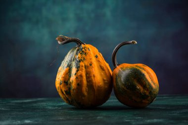 Yeşil zemin üzerinde çeşitli dekoratif balkabağı seti