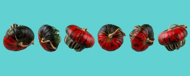 Renkli arka planda izole edilmiş dekoratif balkabağı. Desen kolajı