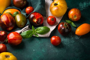 Taze domateslerin değişik çeşitleri ve renkleri.