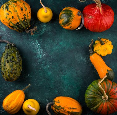 Yeşil zemin üzerinde çeşitli dekoratif balkabağı seti