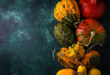 Yeşil zemin üzerinde çeşitli dekoratif balkabağı seti