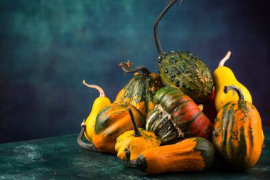 Yeşil zemin üzerinde çeşitli dekoratif balkabağı seti