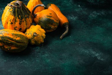 Yeşil zemin üzerinde çeşitli dekoratif balkabağı seti