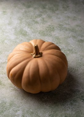 Gri beton arka planda tek bir canlı turuncu balkabağı..