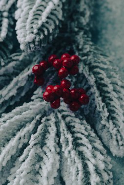 Noel şenliği arka planı ve ışık masasında köknar ağacı