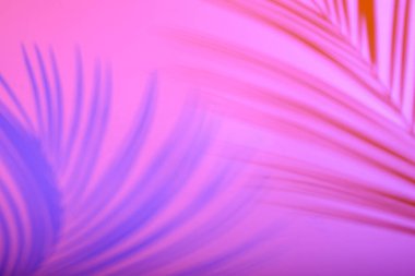 Tropical leaves in neon light with blurred unfocused duotone color shadows