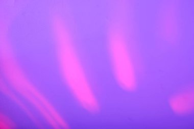 Bulanık odaksız duoton renk gölgeleriyle tropikal levenler neon ışıkta