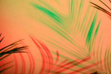Tropical leaves in neon light with blurred unfocused duotone color shadows