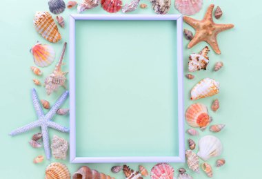 Yeşil arka planda çeşitli deniz kabukları ve deniz yıldızlarıyla dolu boş bir deniz iskeleti..