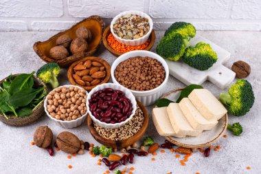Bitki bazlı vegan protein ürünlerinin çeşitliliği, sağlıklı gıda kavramı