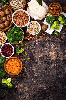 Bitki bazlı vegan protein ürünlerinin çeşitliliği, sağlıklı gıda kavramı