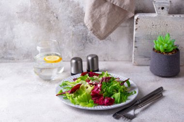 Bir kase taze yeşil salata karışımı. Sağlıklı yemek.