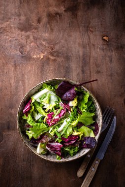 Bir kase taze yeşil salata karışımı. Sağlıklı yemek.