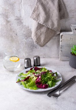 Bir kase taze yeşil salata karışımı. Sağlıklı yemek.