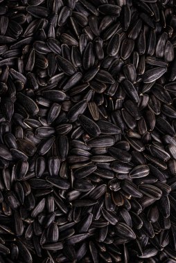 Siyah ayçiçeği tohumu dokusu yakın plan, üst görünüm