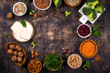 Bitki bazlı vegan protein ürünlerinin çeşitliliği, sağlıklı gıda kavramı