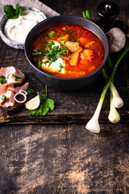 Geleneksel Ukrayna borsch 'u veya ekşi kremalı pancar çorbası