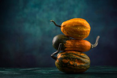 Yeşil zemin üzerinde çeşitli dekoratif balkabağı seti