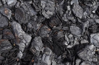 Yangından sonra yanmış çam kabuğu. Kopya alanı ile siyah soyut arkaplan olarak kullanılabilir.