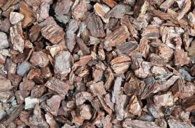 Çam kabuğu arka plan dokusu, tam çerçeve. Bahçede toprak örtüsü olarak kullanılır..