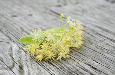 Eski ahşap bir masada kokulu ıhlamur çiçekleri.