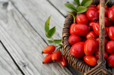 Fotokopi alanı olan gri ahşap bir arka planda hasır sepetin içinde olgun kırmızı bir köpek gülü meyvesi. Şifalı bitkiler ve bitkiler.