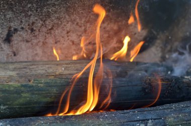 Eski yanan kütük alevler içinde kaldı. Açık havada kamp ateşinde yemek pişirmek.