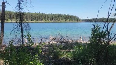 Duck Dağı İl Parkı 'ndaki yürüyüş parkındaki Doğu Mavi Göl manzarası