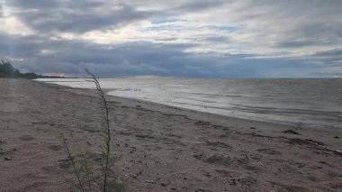Delta Sahili, Manitoba Gölü 'nde Rüzgarlı Yaz Günü