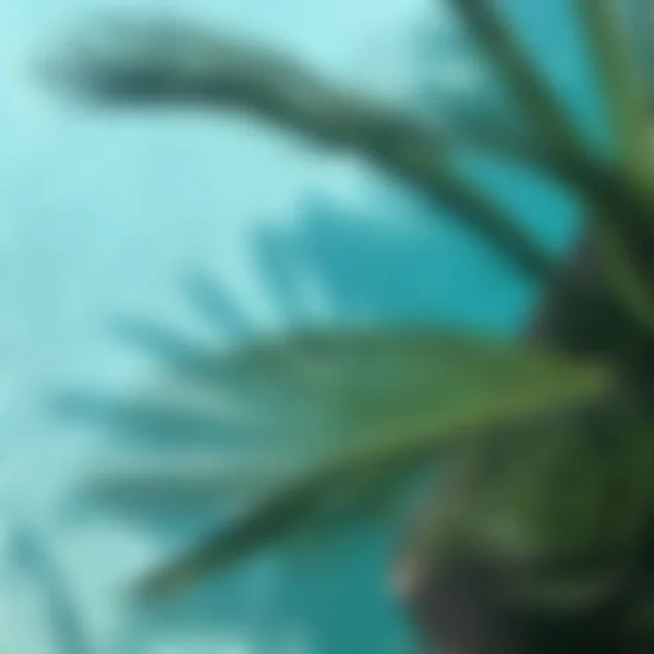 Hintergrund Mit Bokeh Und Hellem Sonnenlicht Verschwimmen Lassen — Stockfoto