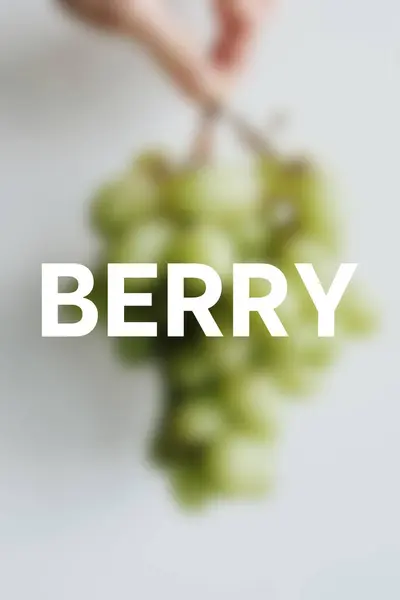 Bulanık yeşil dut. Böğürtlen