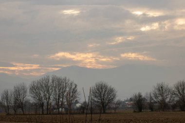 Buğday tarlası ve bulutlu gökyüzü olan güzel bir manzara.