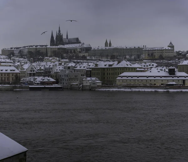 Панорамный Вид Заснеженный Пражский Град Церковь Святого Вита Белые Заснеженные — стоковое фото
