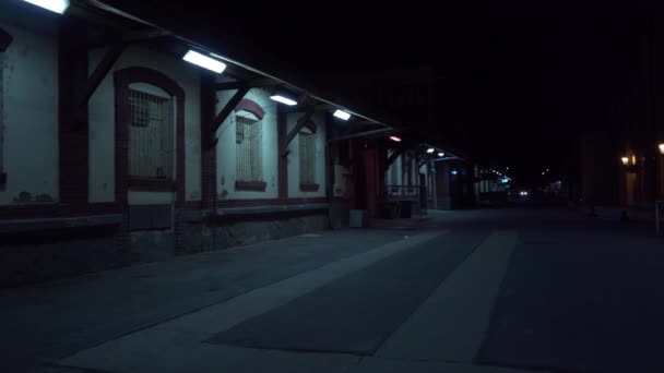 Захоплююча Анімація Зображує Темні Вулиці Праги Вночі — стокове відео