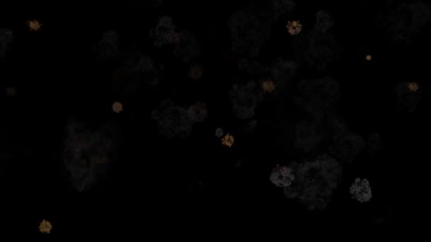 Animace Ohnivých Částic Plamene Pohybujících Tmavém Pozadí — Stock video