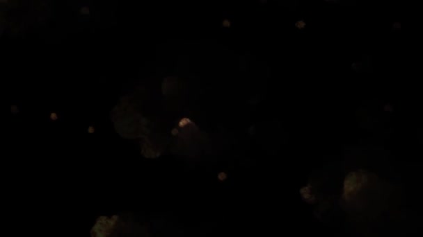 Karanlık Bir Arkaplanda Hareket Eden Ateşli Alev Parçacıklarının Canlandırması — Stok video