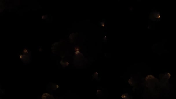 Анімація Частинок Вогню Рухаються Темному Тлі — стокове відео
