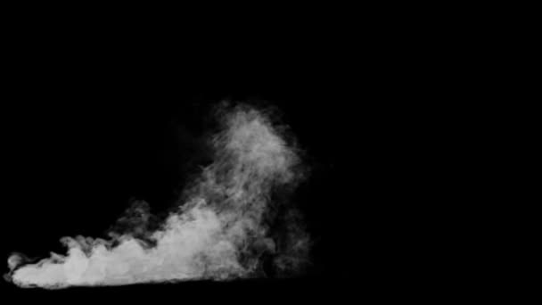 Fumo Realistico Sfondo Nero — Video Stock
