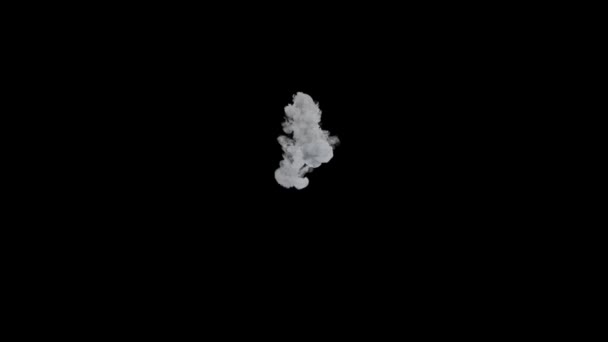 Realistic Smoke Black Background — Stock Video