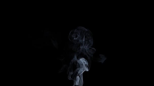 Realistic Smoke Black Background — Stock Video