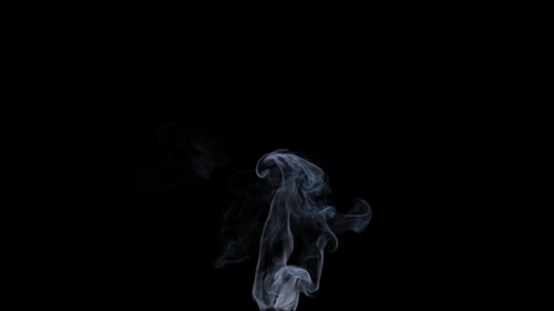 Realista Fumaça Fundo Preto — Vídeo de Stock