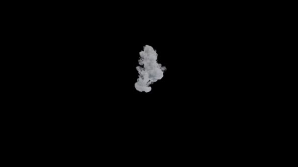 Realistické Kouř Černém Pozadí — Stock video