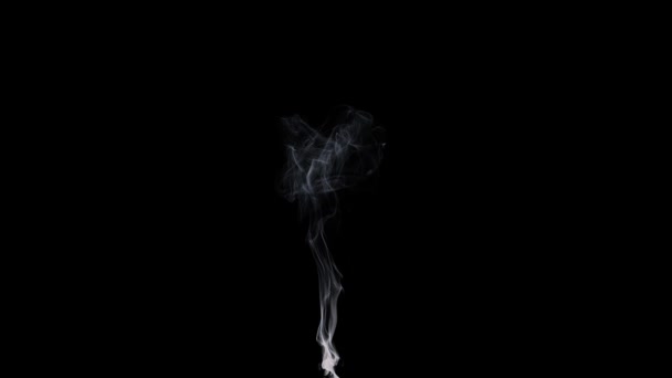 Fumaça Branca Densa Fundo Preto Enigmático Cativante — Vídeo de Stock