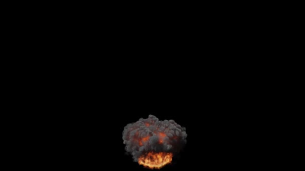 Реалістична Анімація Палаючого Вогню Диму Помаранчевим Полум Чорному Тлі — стокове відео